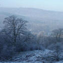 3516-lakeland winter scene