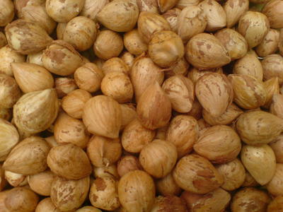 <p>nuts after harvest</p>
