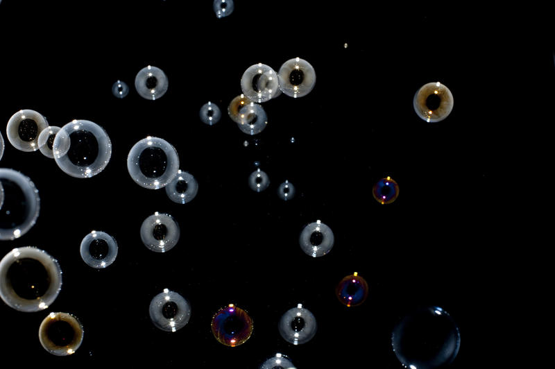 an assortment of floating soap bubbles on a black backdrop