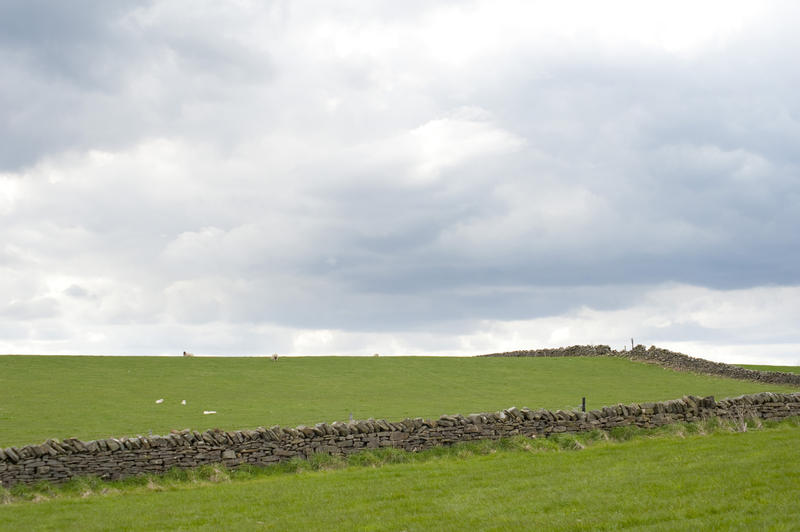 Green agricultural fields with a rustic stone wall and grazing livestock under cloudy skies