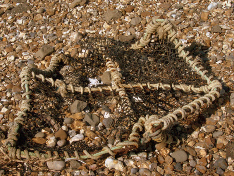 <p>Crab Net Beached</p>