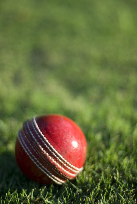 a traditional leather cricket ball on a background of mown grass