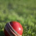 4837   leather cricket ball