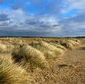 5015   deserted winter landscape