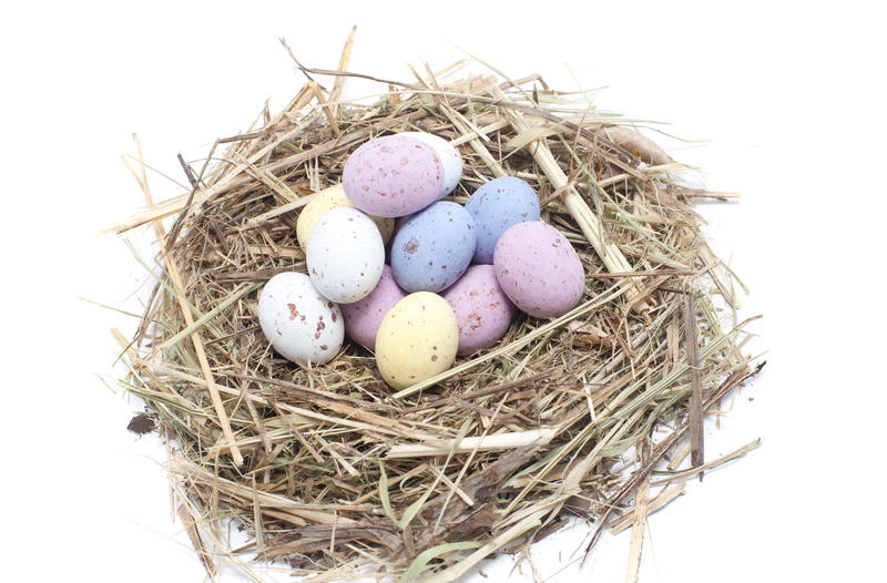 Fresh straw nest filled with colourful speckled pastel Easter Eggs on white