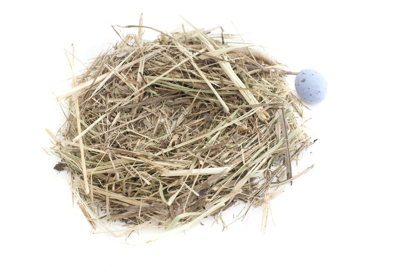 Empty decorative straw nest with a tiny blue speckled egg alongside on white