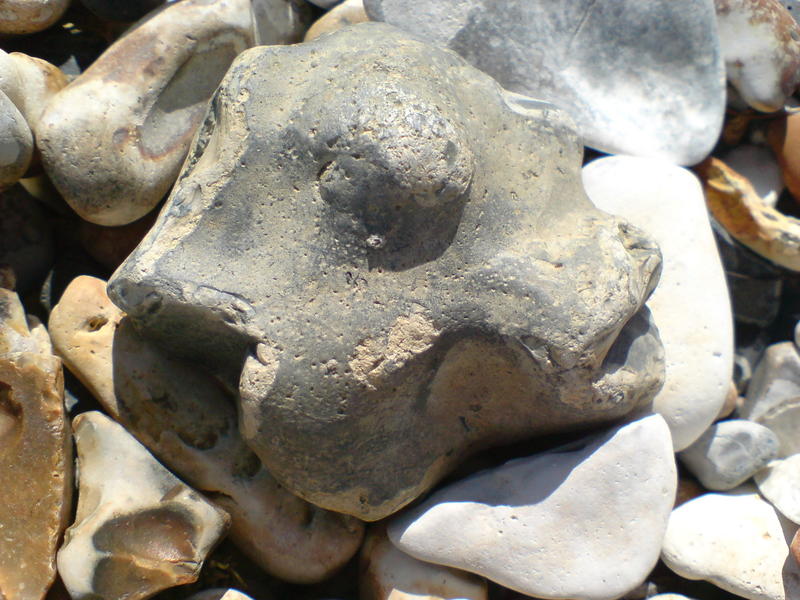 <p>fish face-pebble.jpg</p>