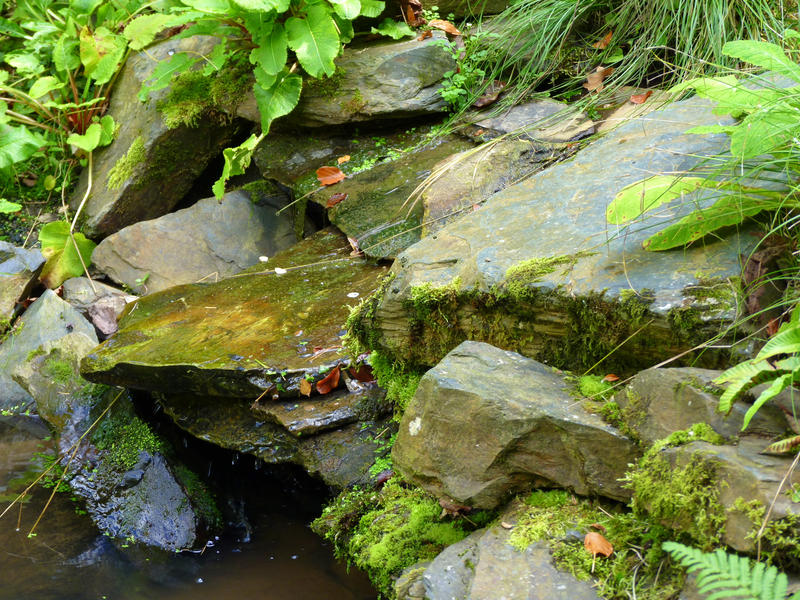 <p>Gentle Babbling Brook</p>