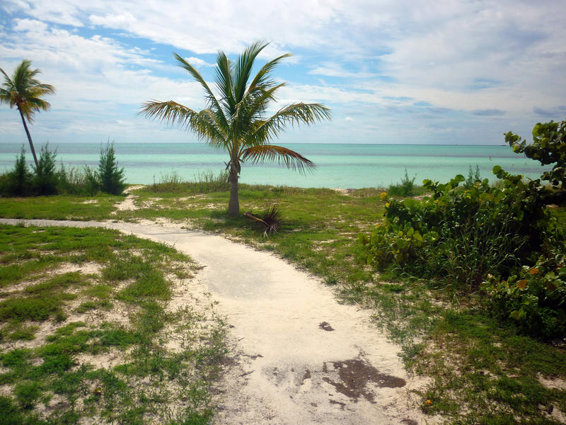 tropical coast line of the bahamas