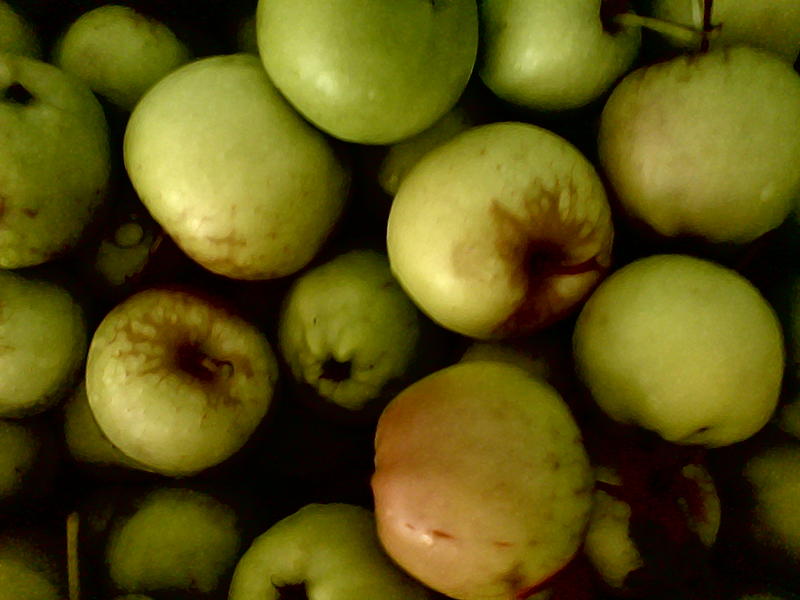 <p>green apples with a painted effect</p>