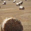 4650   hay field