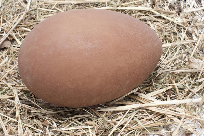 Large unwrapped chocolate Easter Egg on a background of straw.