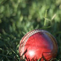 4842   traditional cricket ball
