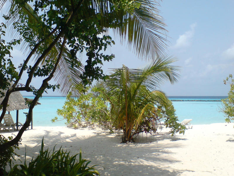 <p>Maldivian beach</p>