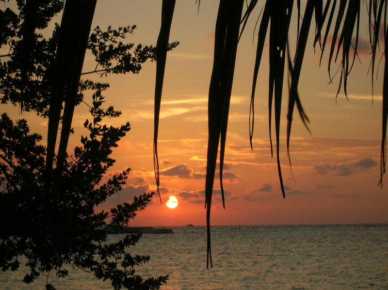 <p>maldives sunset</p>