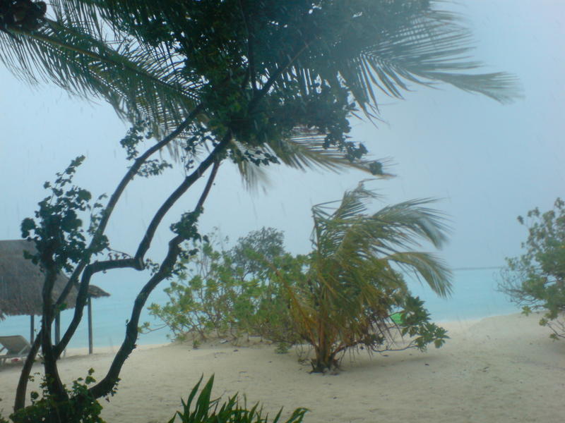 <p>stormy beach on the maldive islands</p>