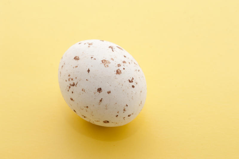 Single Speckled Mini Easter Egg on a yellow background