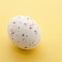 5069   Single Speckled Mini Easter Egg