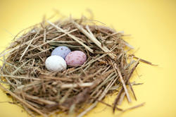 5071   Mini Egg Nest