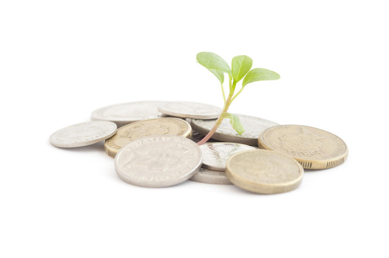portfolio growth concept: a seedling sprouting from a pile of coins