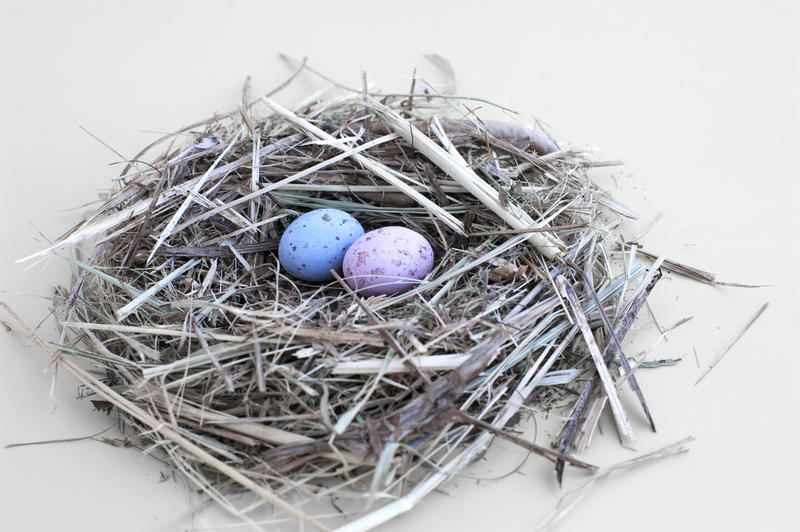 Small nest of straw with two pastel coloured candy Easter Eggs on a white background