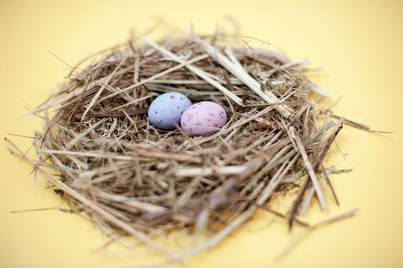 Straw nest with two pastel coloured speckled candy Easter Eggs , selective focus to eggs.