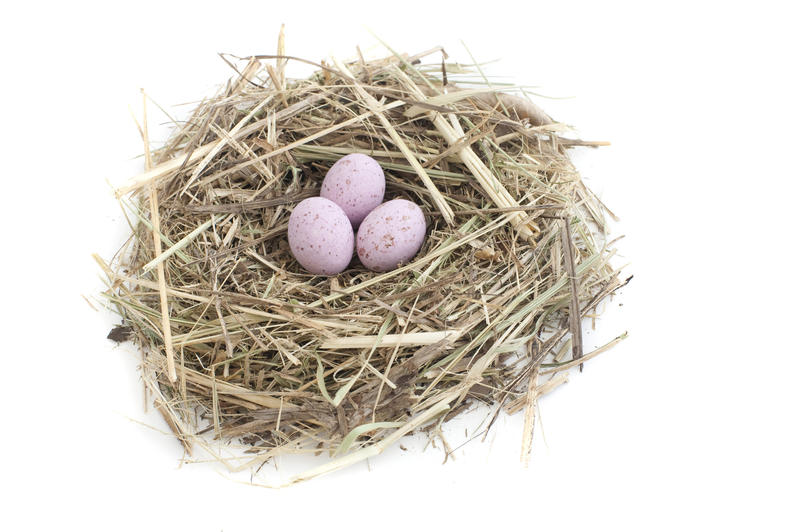 Straw nestwith three small speckled pink Easter Eggs of sugared candy on a white background