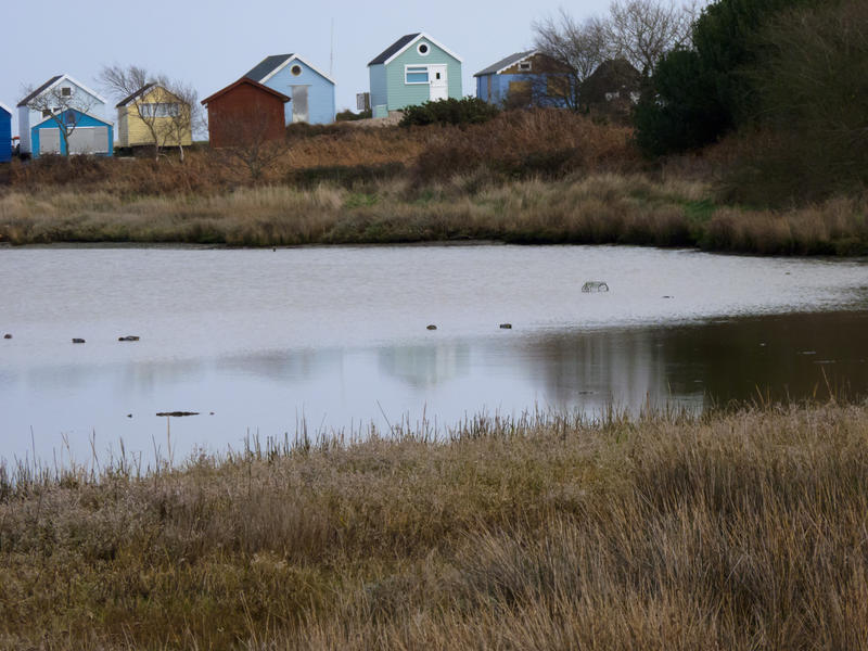 <p>Quiet Backwater and Beach Houses</p>