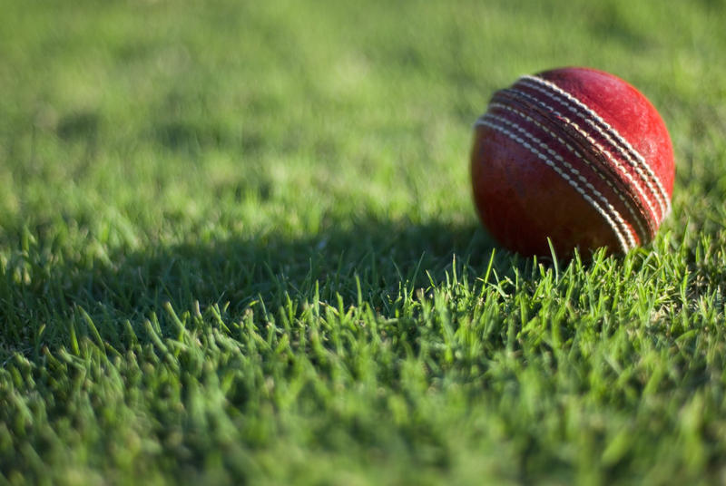 a cricket ball laying on a playing field