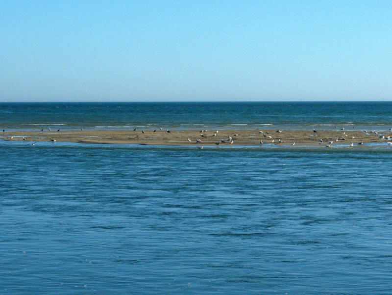 <p>&nbsp;Sand Bank at Low Tide</p>