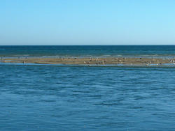 4633   sand bank at low tide