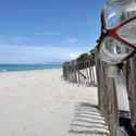 4646   Snorkel &amp; Mask on Plage Saleccia, Corsica 