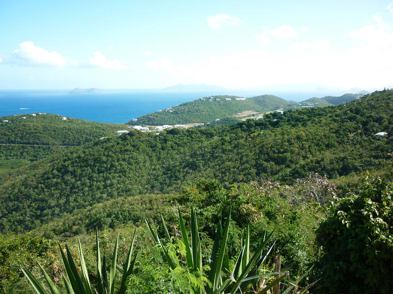 looking out across the island of st thomas from a hill top view point