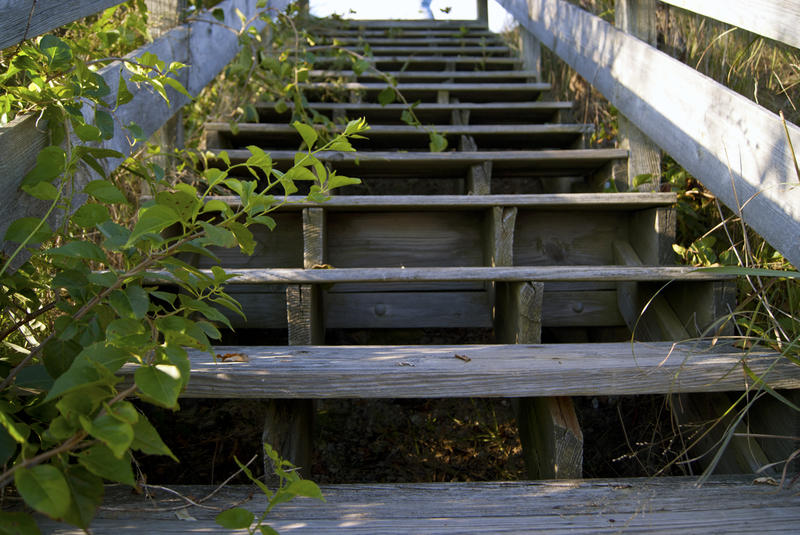 <p>Wooden Stairway</p>SONY DSC