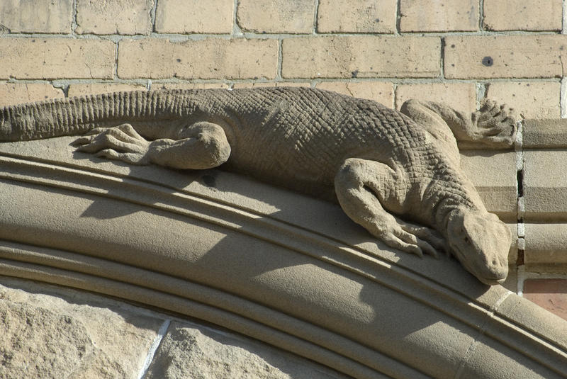 ornamental stone lizard on the side of a building