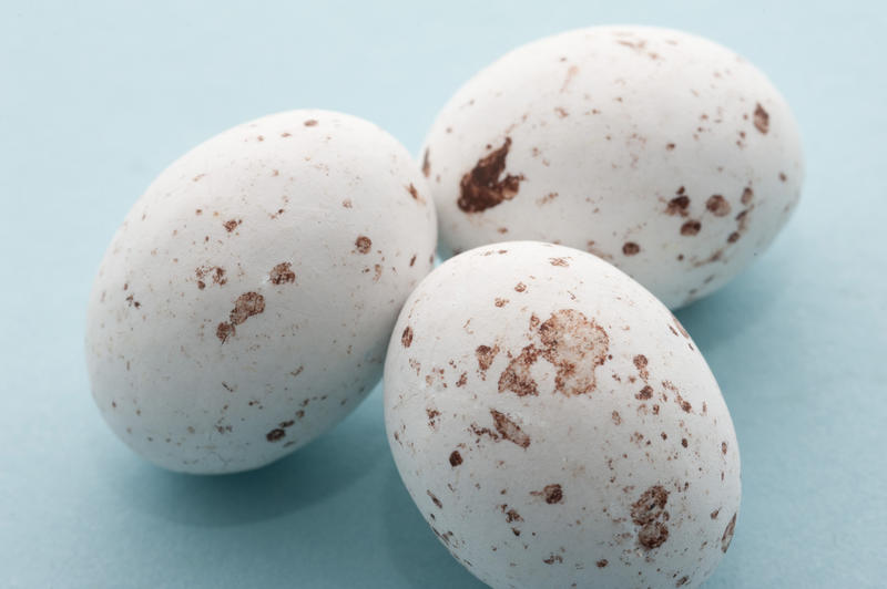 White speckled candy Easter Eggs, closeup view on blue