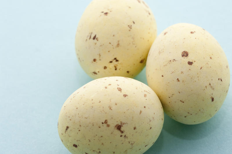 Closeup of pastel yellow speckled mini Easter Eggs on a blue background with copyspace