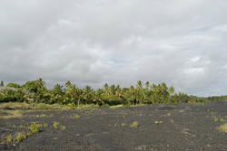 5478   Kalapana Lava Field