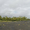 5478   Kalapana Lava Field