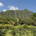 5479   Koolau Mountain Range