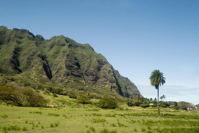 Ko'olau Range of mountains, blue sky and a lone palm tree