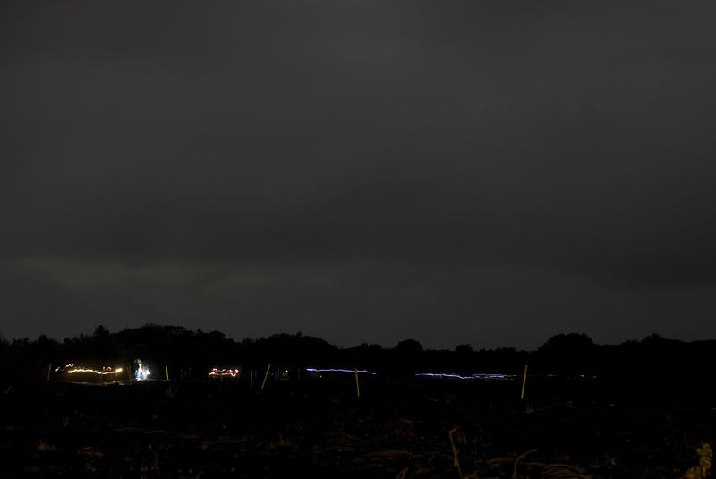 trails left behind by tourists with torches walking to the Kalapana Lava viewing area, Hawaii