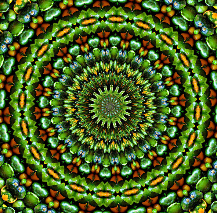 <p>abstract background, textures, patterns, geometric patterns, shapes and perspectives from altering and manipulating image of small squashes </p>