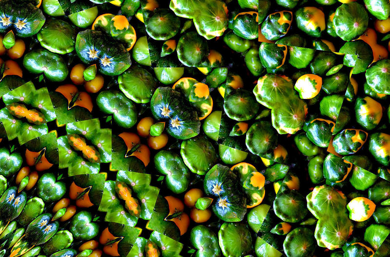 <p>abstract background, textures, patterns, geometric patterns, shapes and perspectives from altering and manipulating image of small squashes </p>