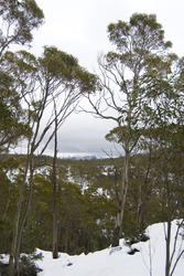 5874   central plateau