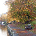 5154   Tranquil Autumn River Scene