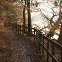 5157   Path Through Autumn Forest