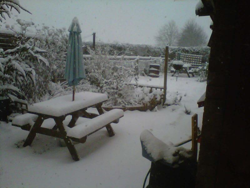 <p>Snowy back Garden</p>