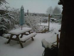 6531   back garden under snow