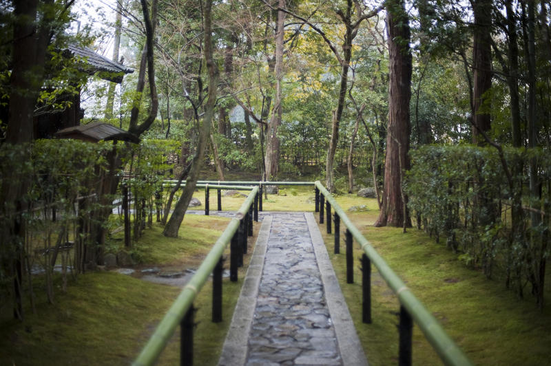 bamboo pole lined stone path at koto-in temple, kyoto, Japan